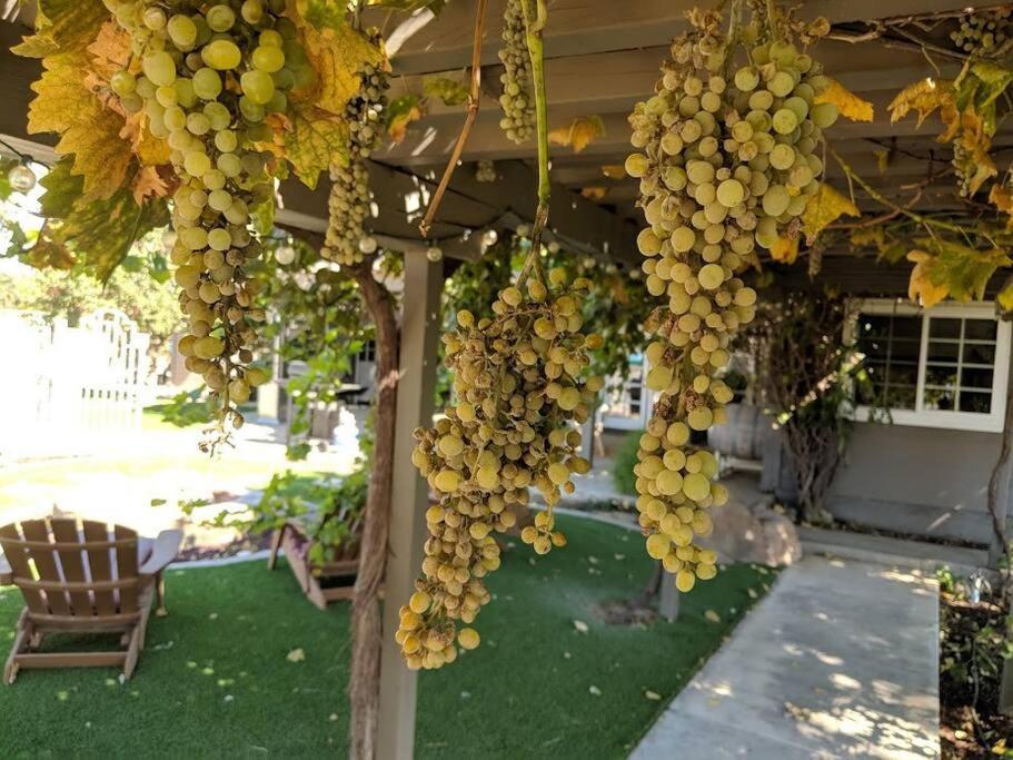 Villa The Vineyard