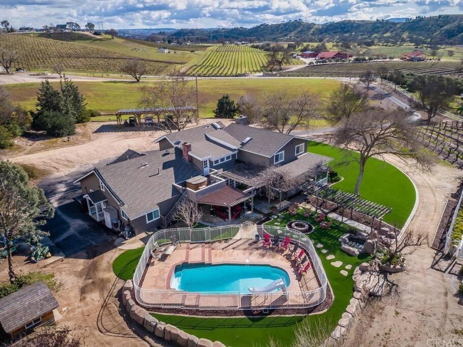The Vineyard