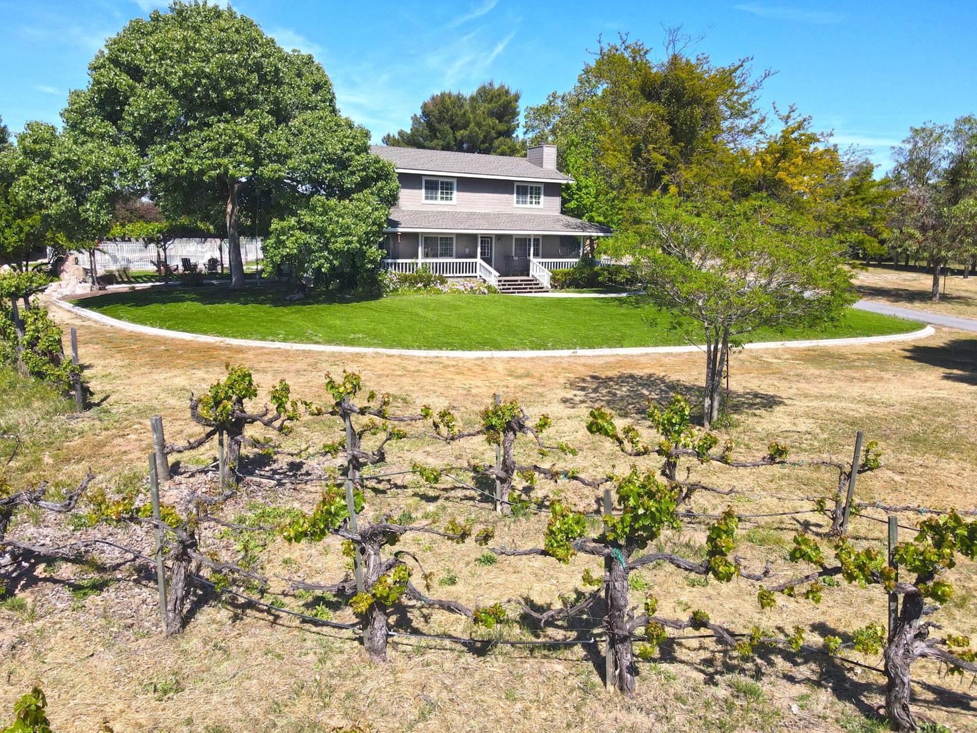 The Vineyard Paso Robles